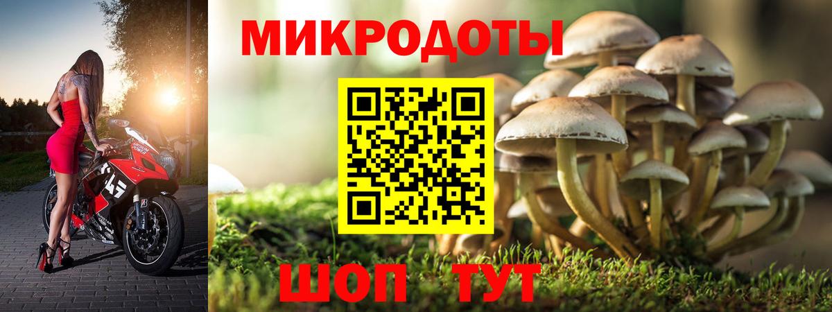 Джанкой  Галлюциногенные грибы MAGIC MUSHROOMS  Вход с VPN 