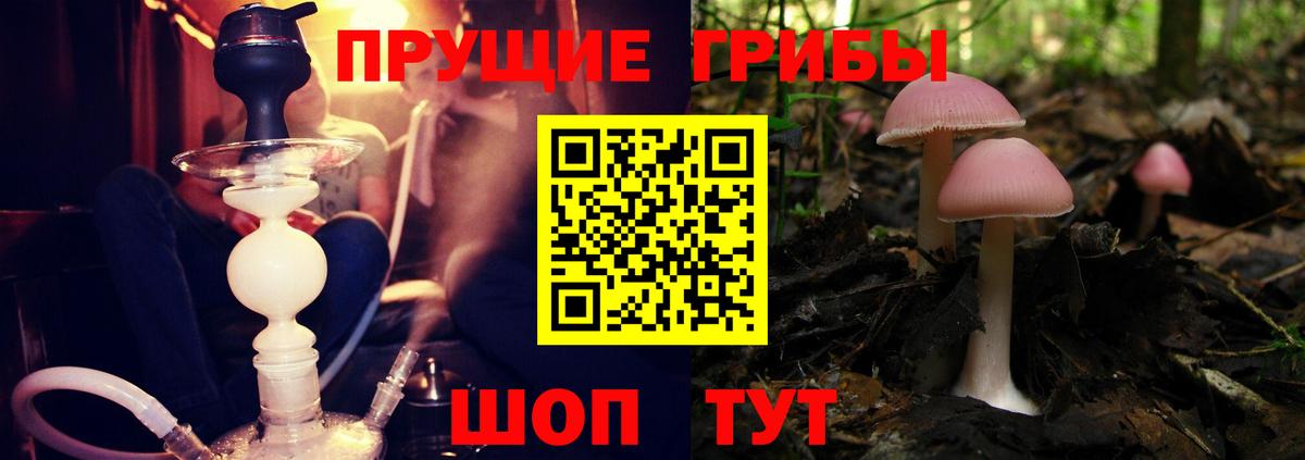 Псилоцибиновые грибы мухоморы Джанкой